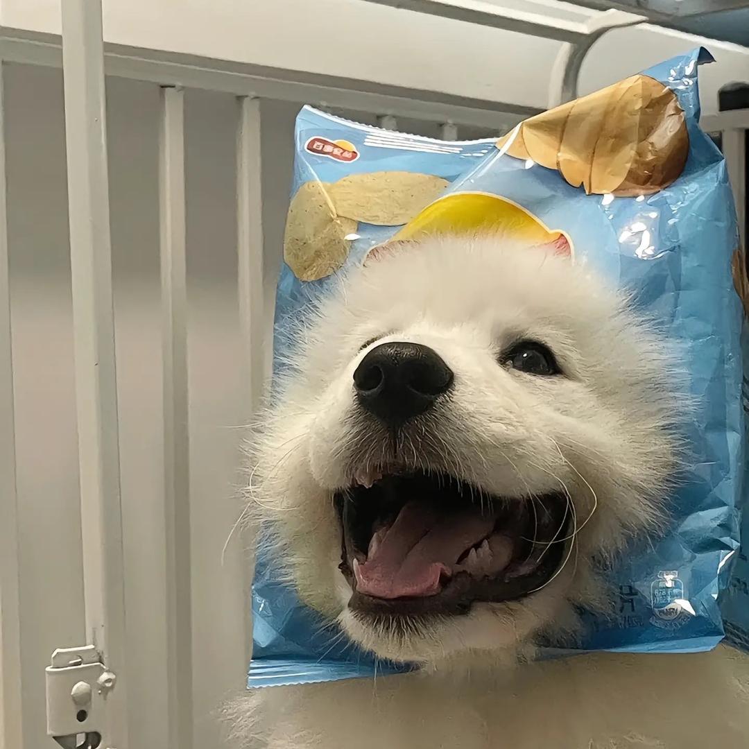 𝖑𝖆𝖈𝖊𝖞Jerry:P☁️