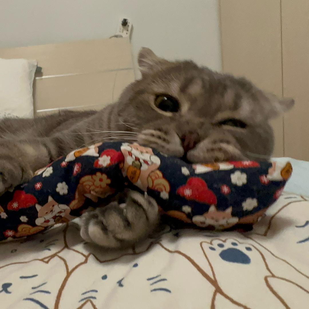 💭   你看见我的小熊了吗