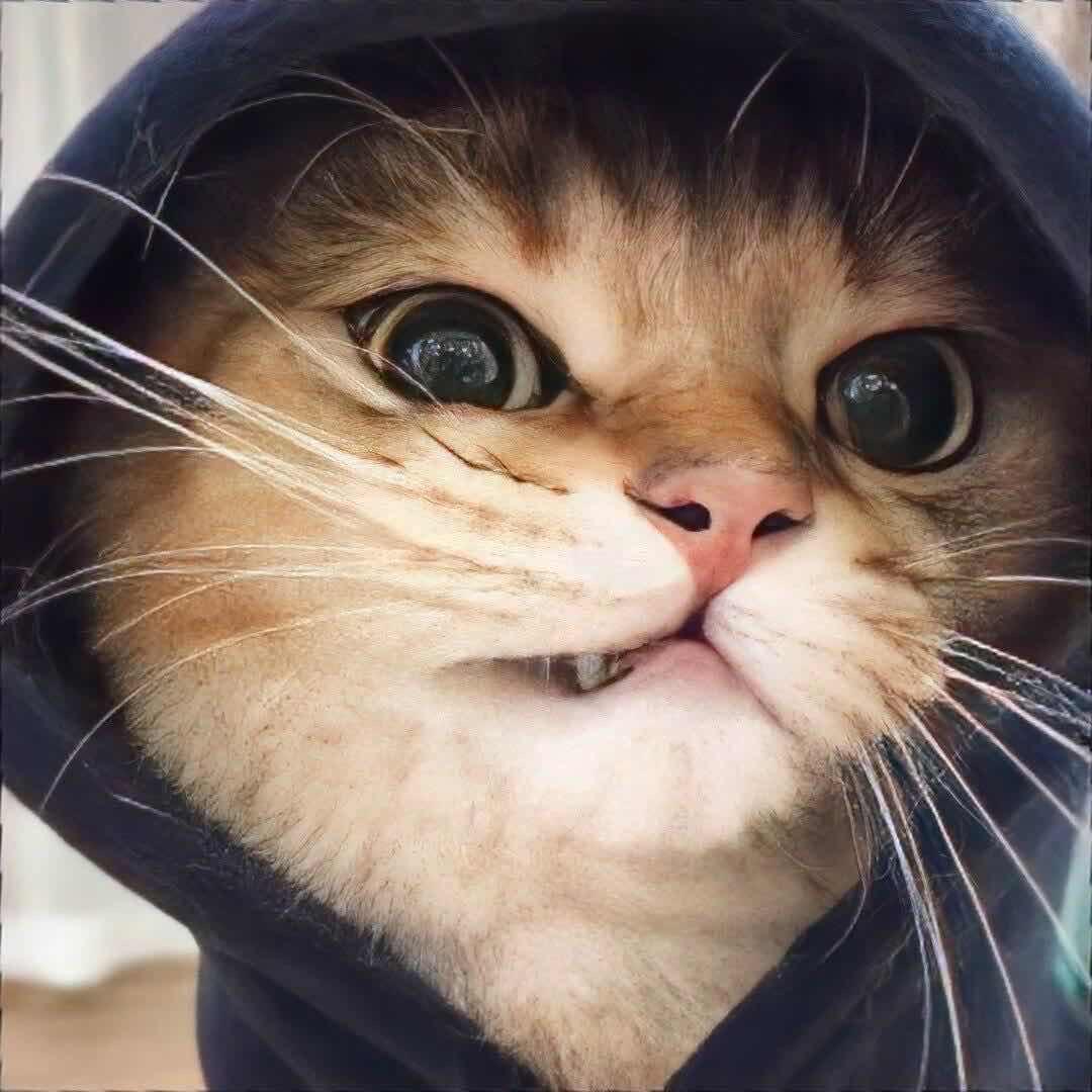 止一