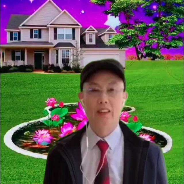 南山不老松
