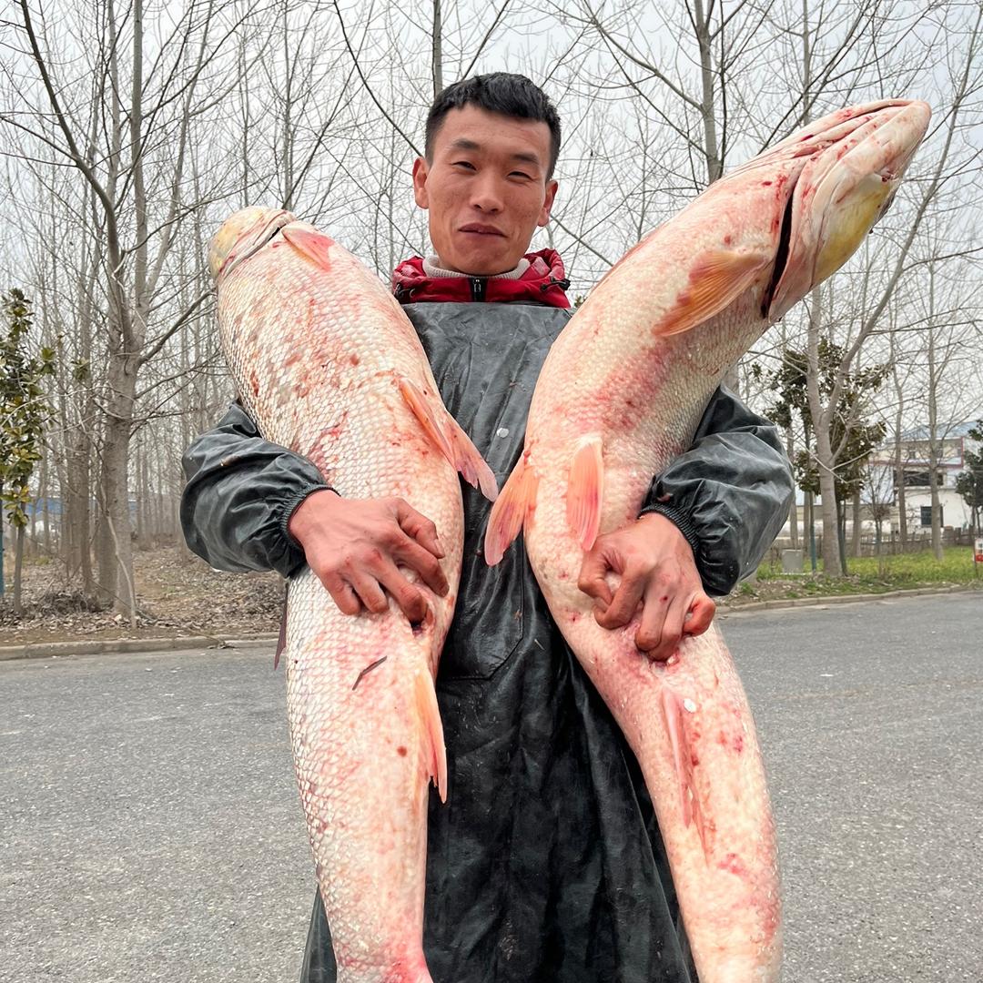 阿炼，户外