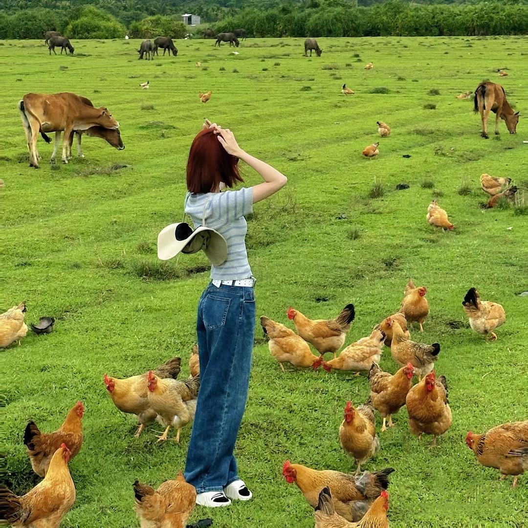 英姐农场