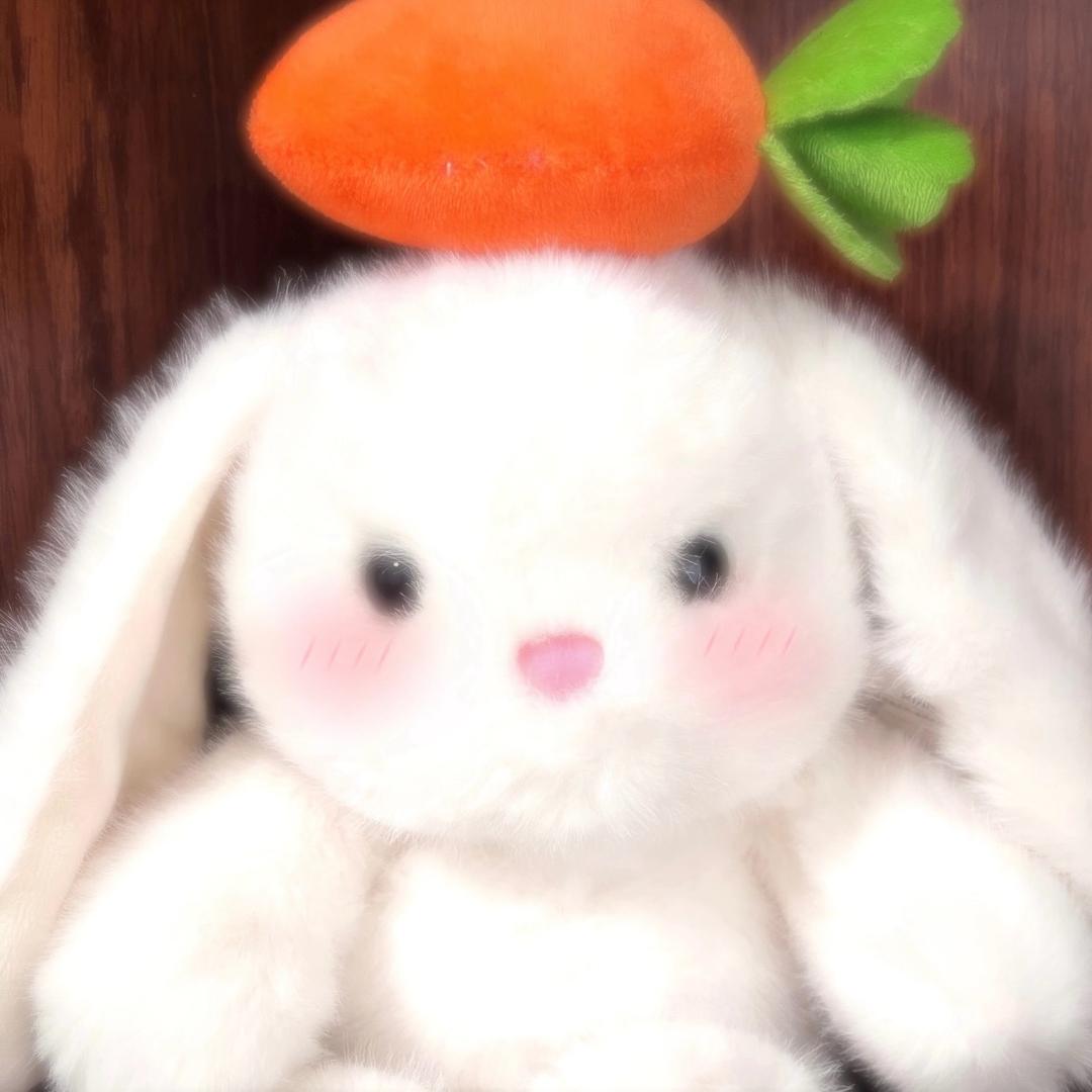 一根幸运的胡萝卜