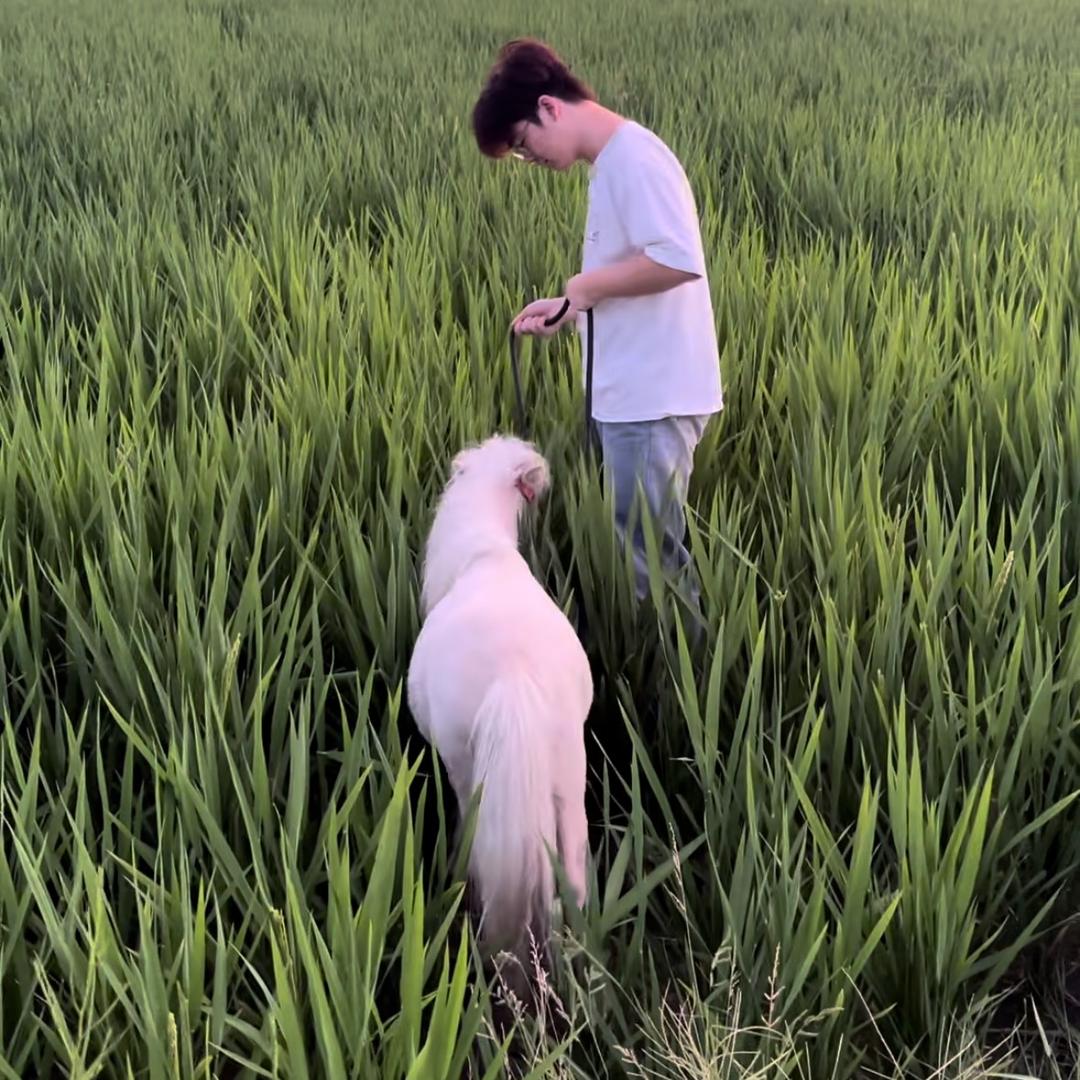 李不拿铁