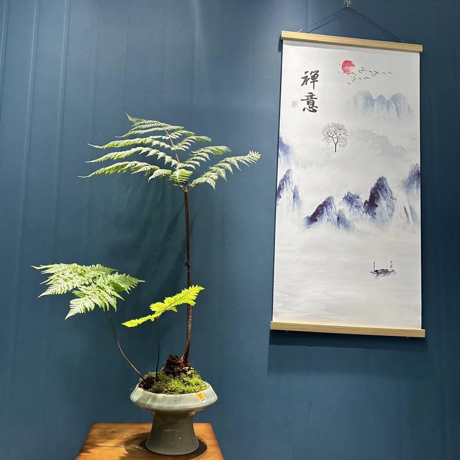 蕨艺小家(可批发零售)