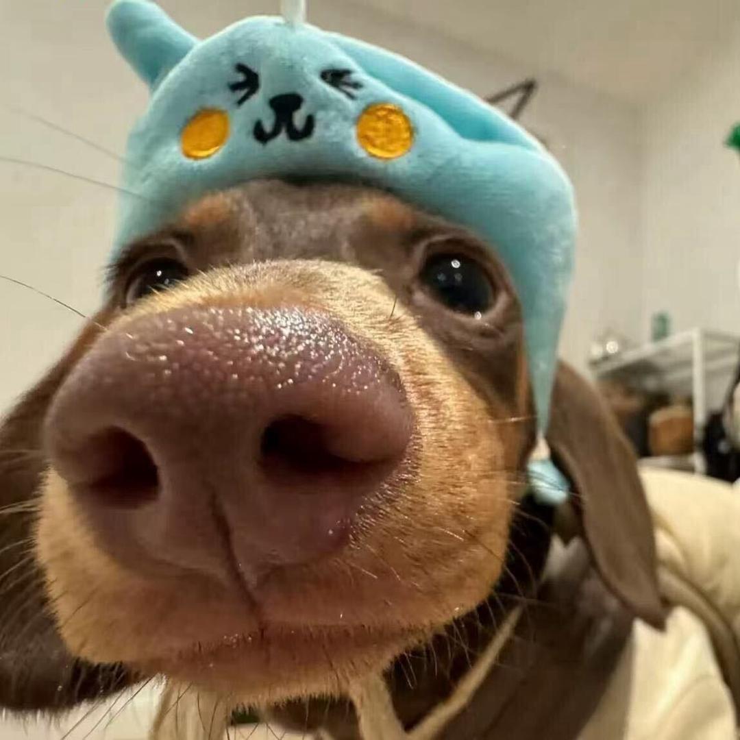 睡觉的时候不困