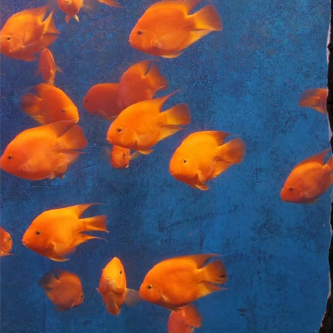 为毙狂徒到此间
