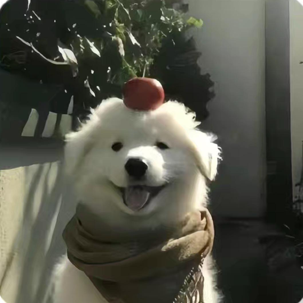 雅月情在枫溪夜