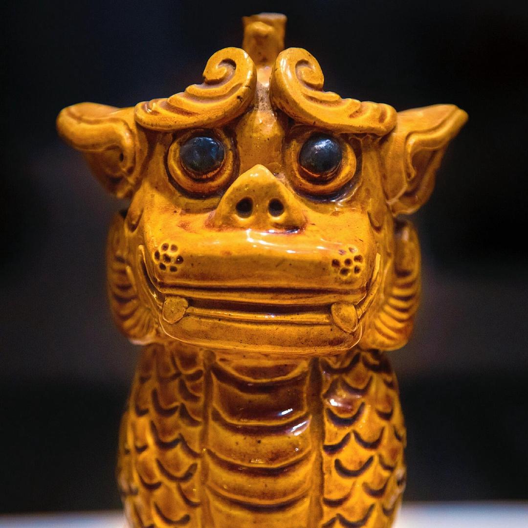 一岁的小狗蛋儿