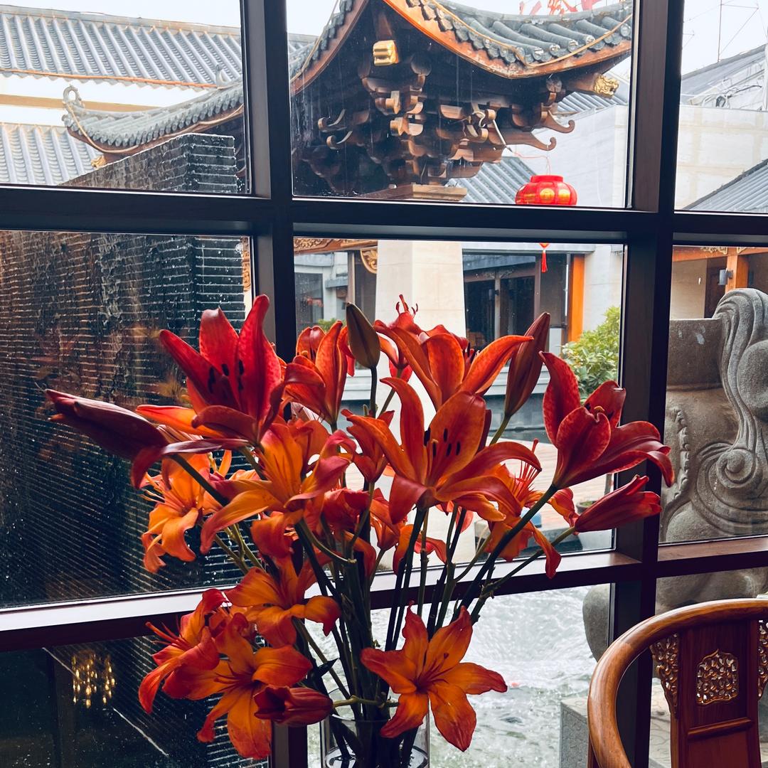 蓝吉儿