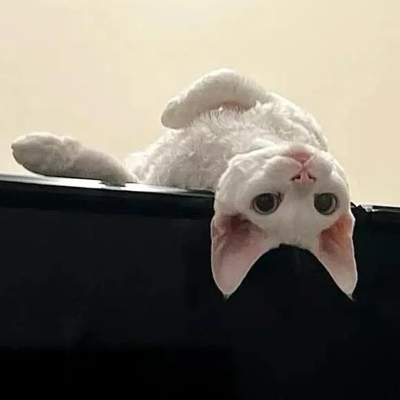 1寸