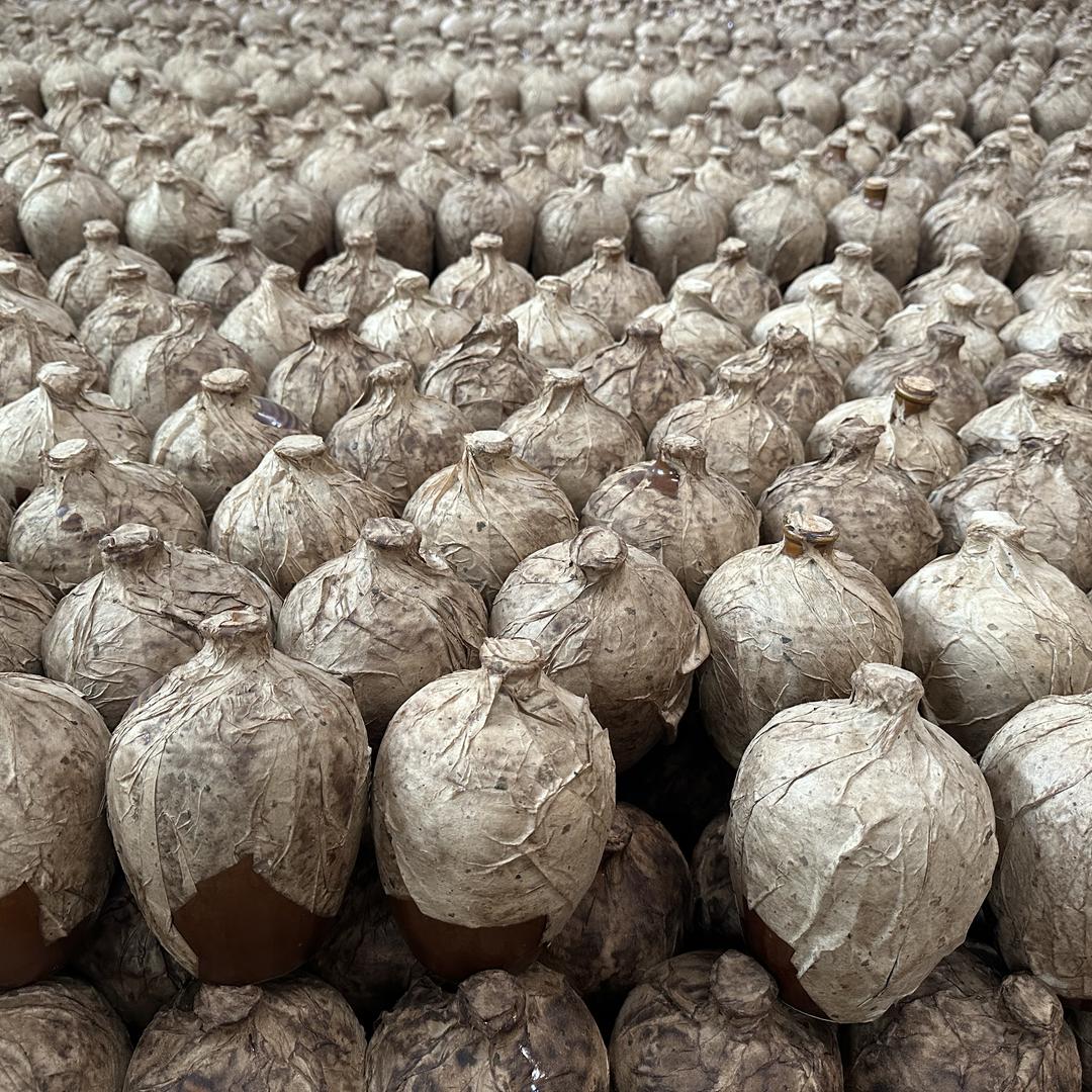 贵州立天下酒业