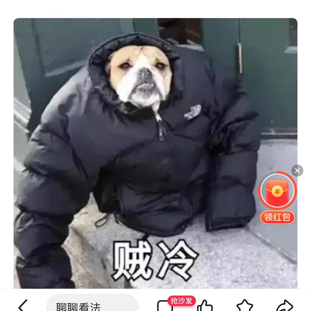 没用的小啊吉