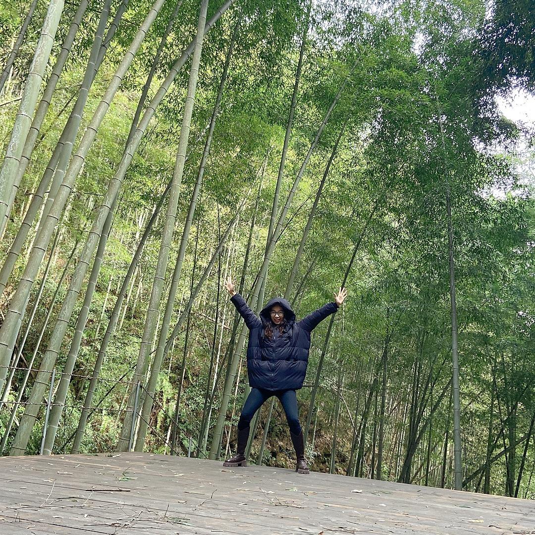 卞歆