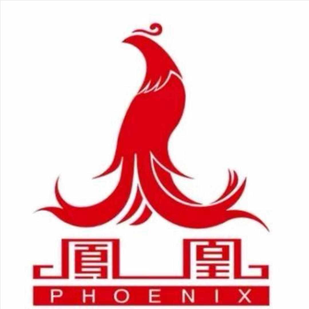 凤凰新系列新品发布会