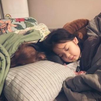 💤·
