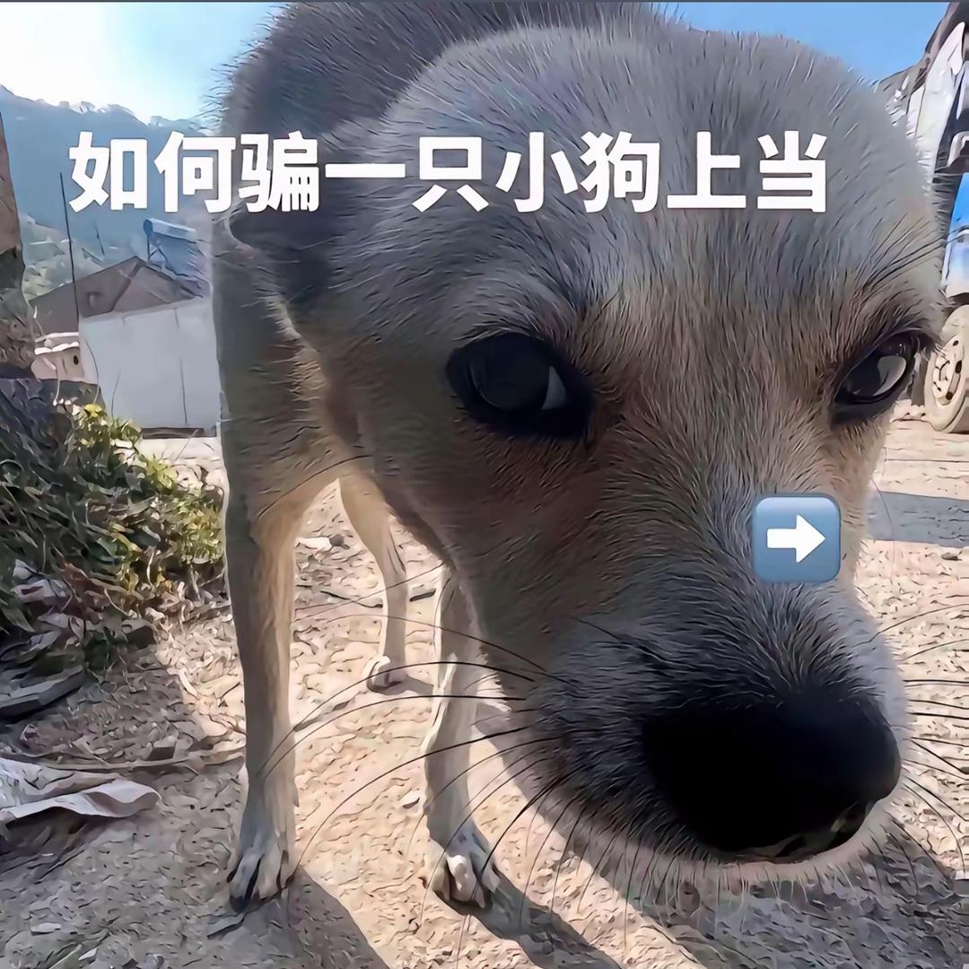顽物德志