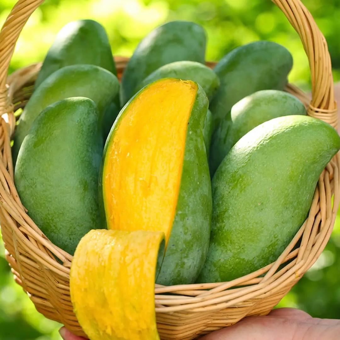 广西芒果🥭（源头总仓）