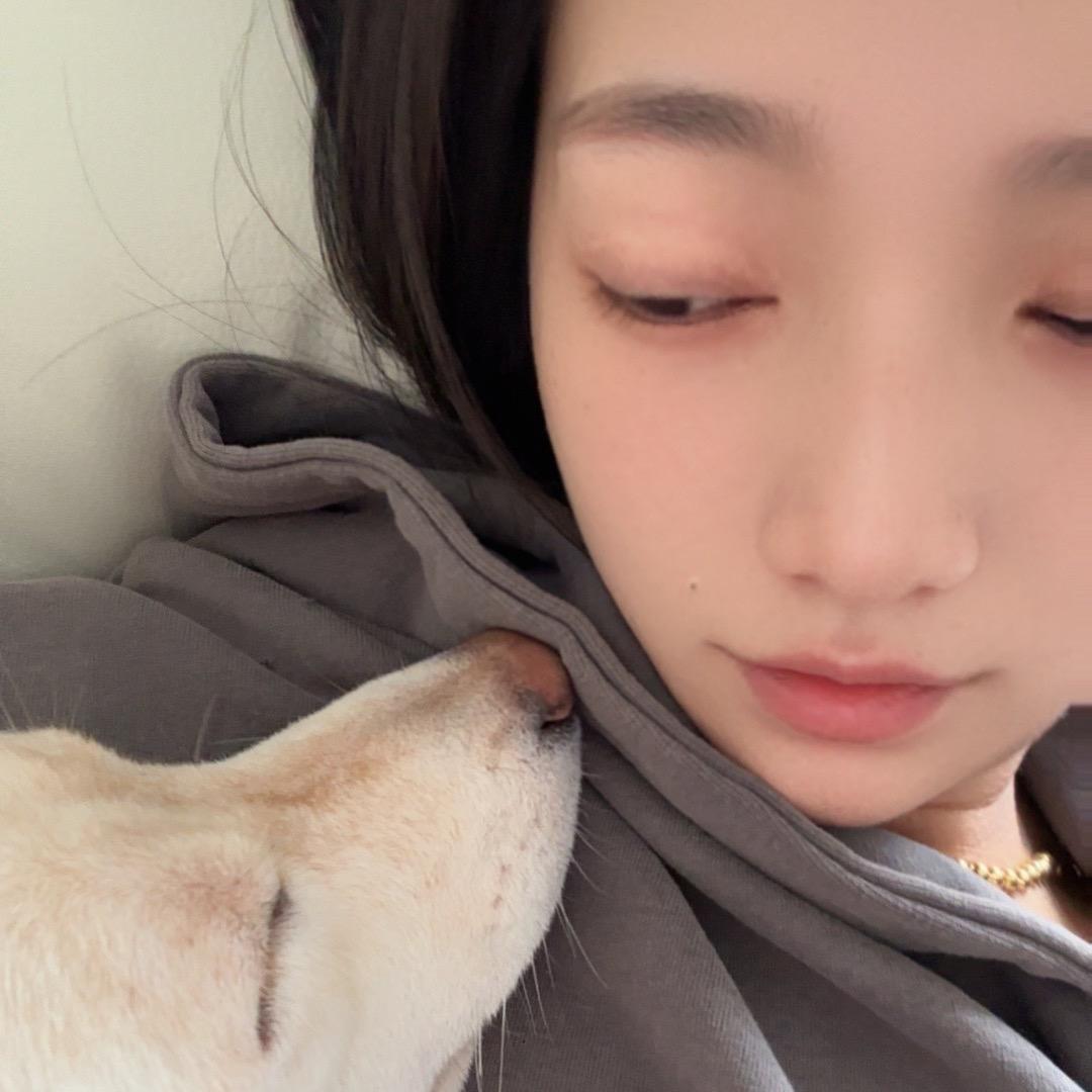 楚山牛炒饭铺（淮南田家庵鸿益美食城店）