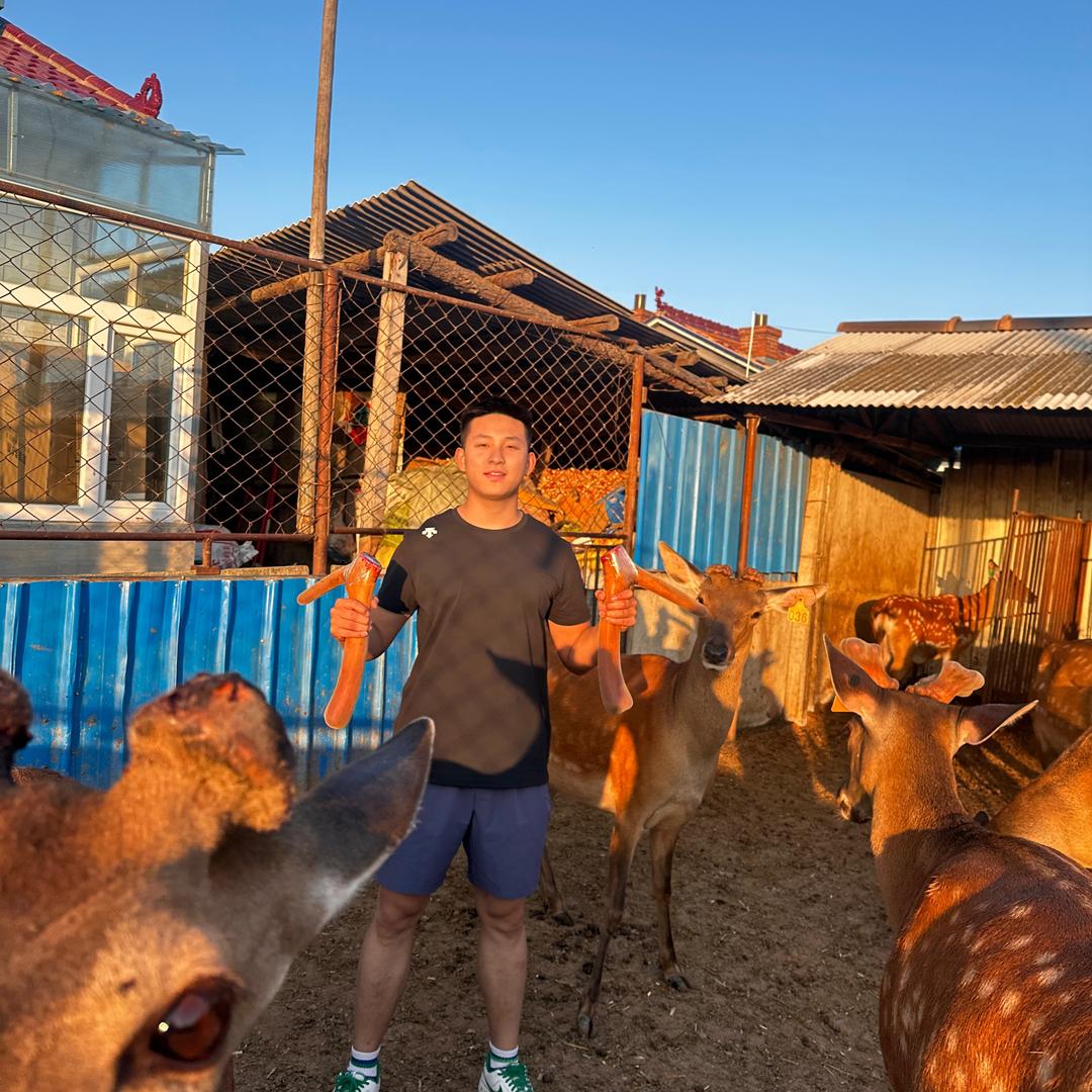 LiAn博（🦌王