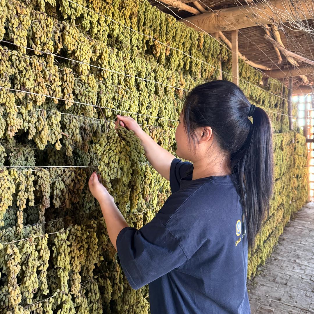 连火火