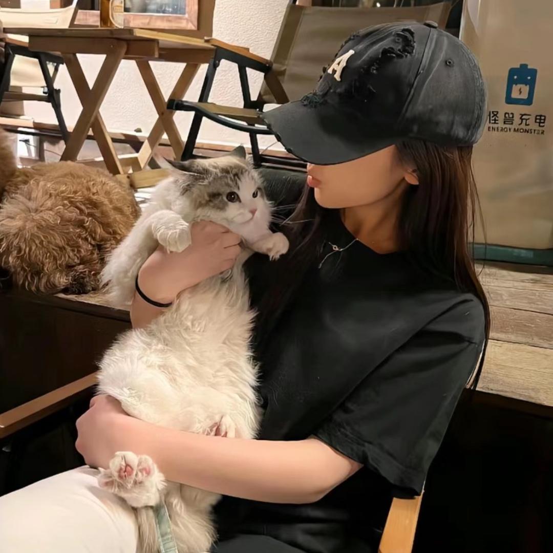 杨咩咩🐑