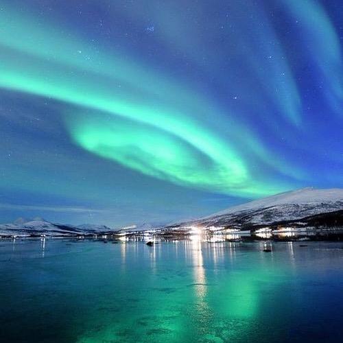 YJJ（森林中的影帝）