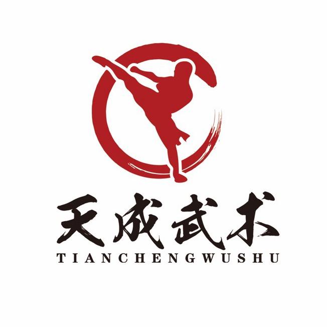 天成武术