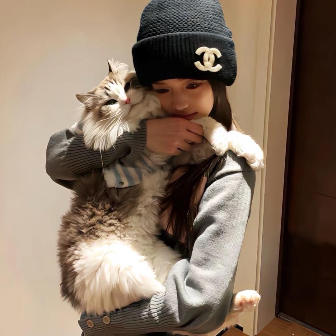 停摆