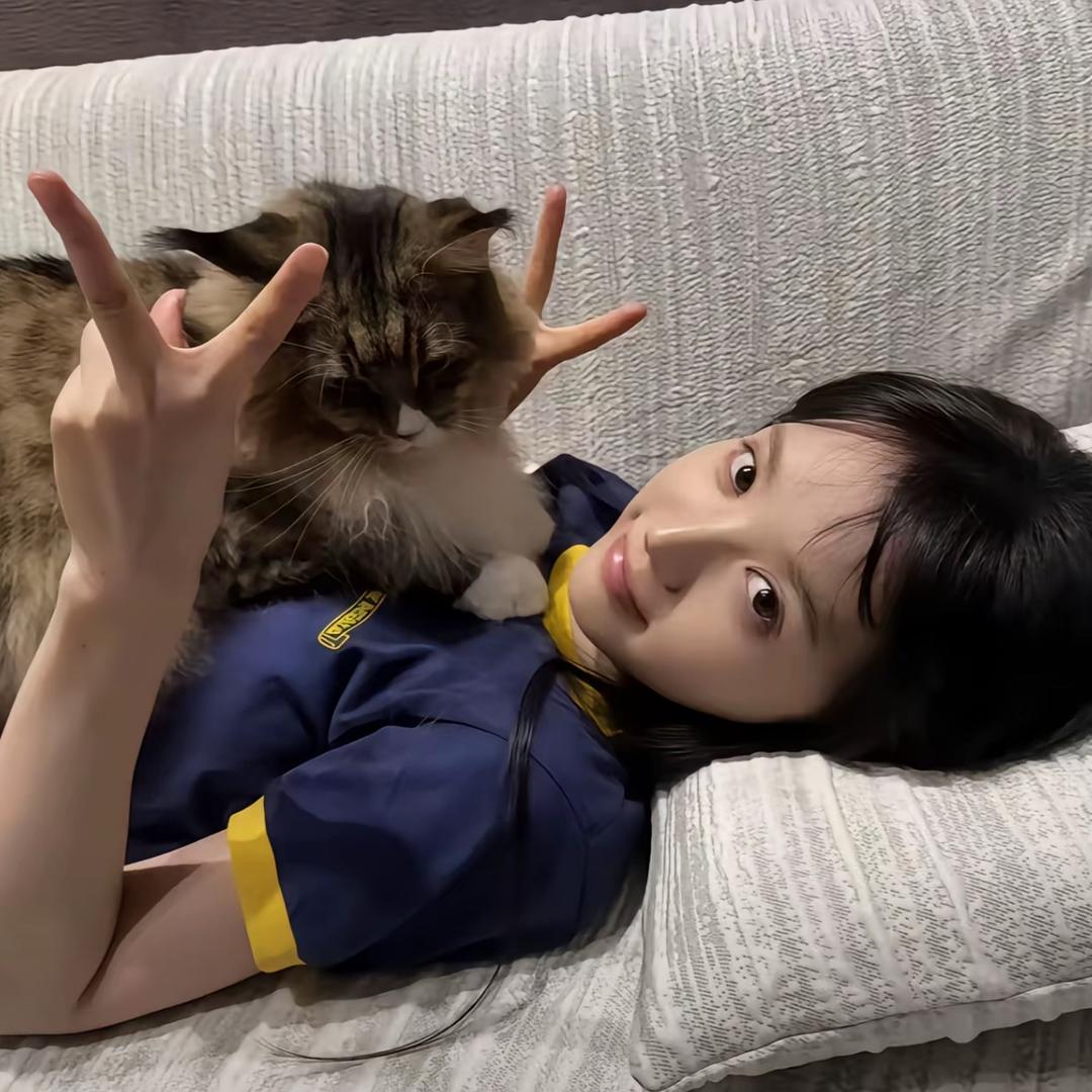 鸭屎团团