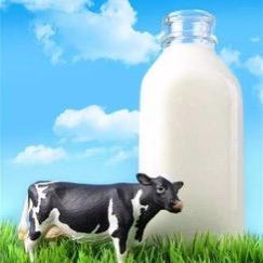 安心牛奶供应仓