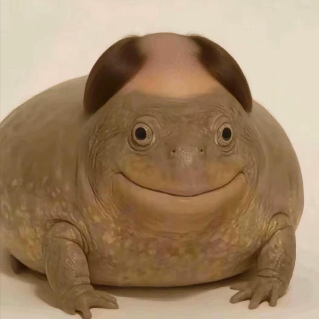 蟑螂爆炒神圣的朵拉味香菜