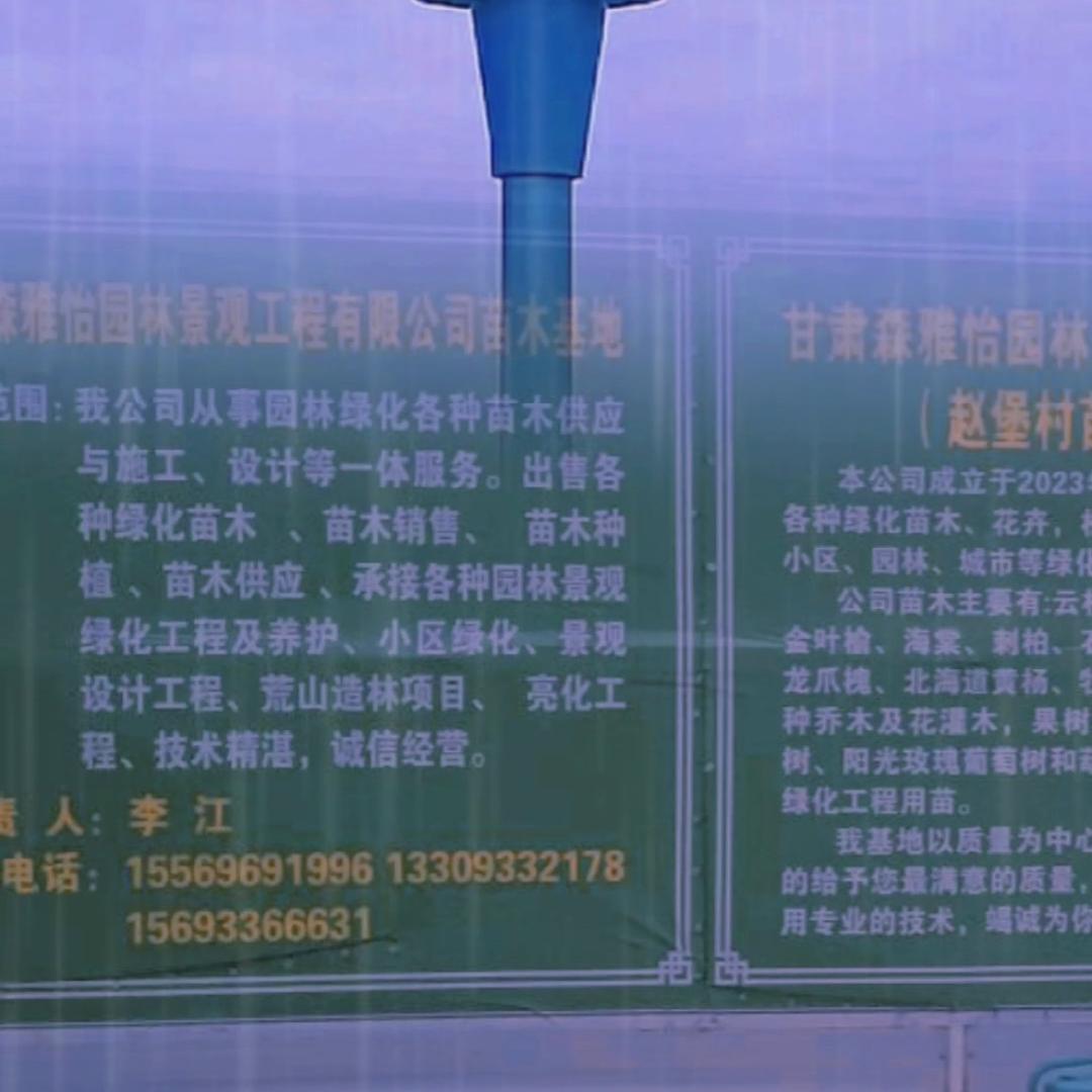 甘肃赵堡苗木（苗木种植基地）