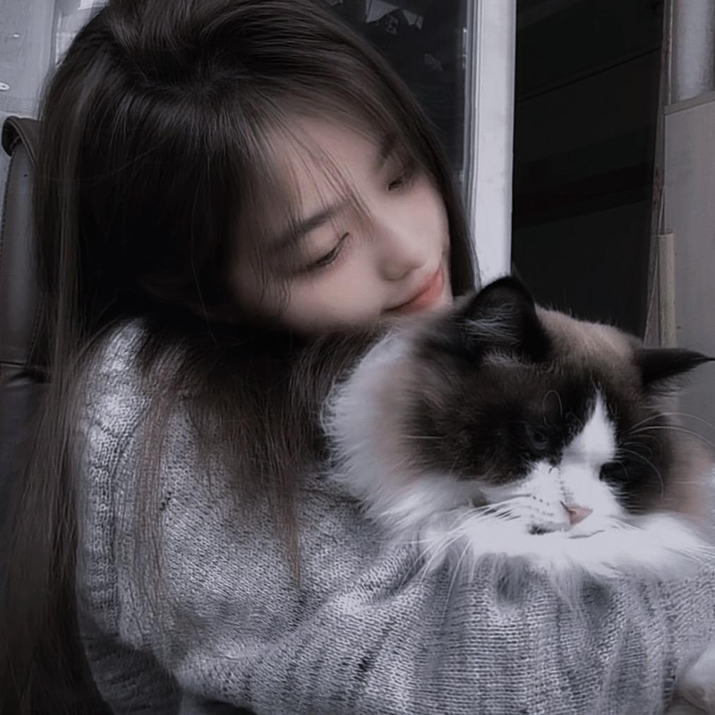 困了💤