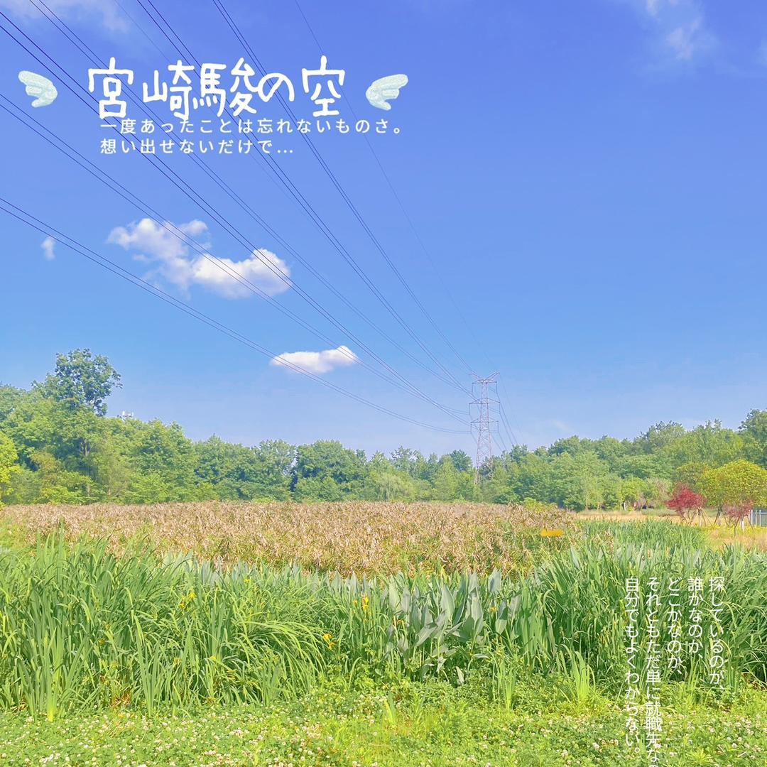 毛毛姐好物频道