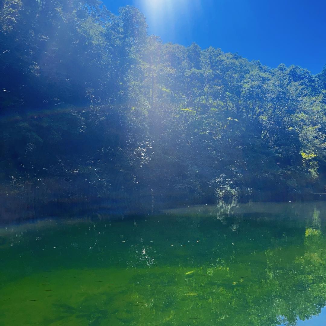 @的确是个好名字