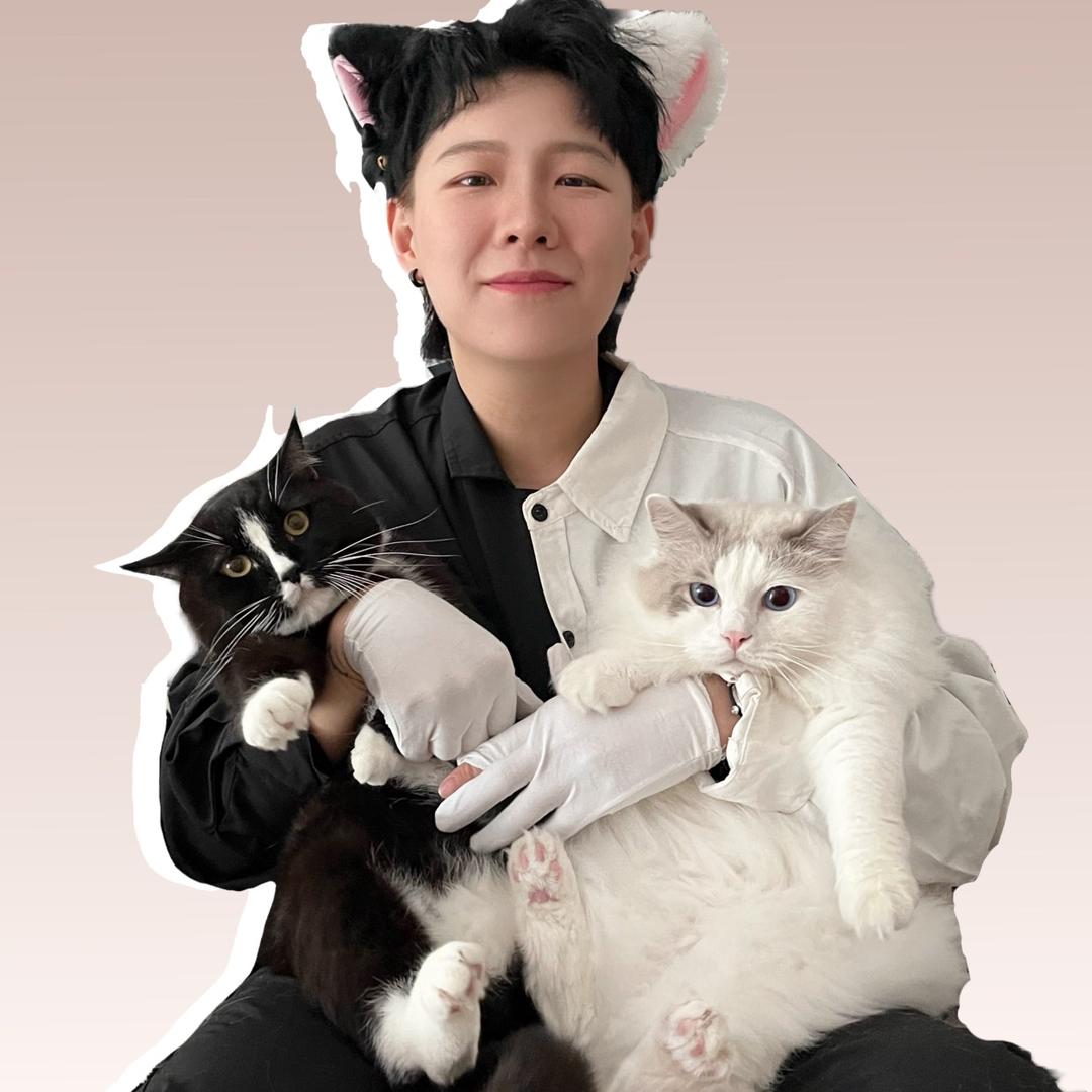养猫的二狗