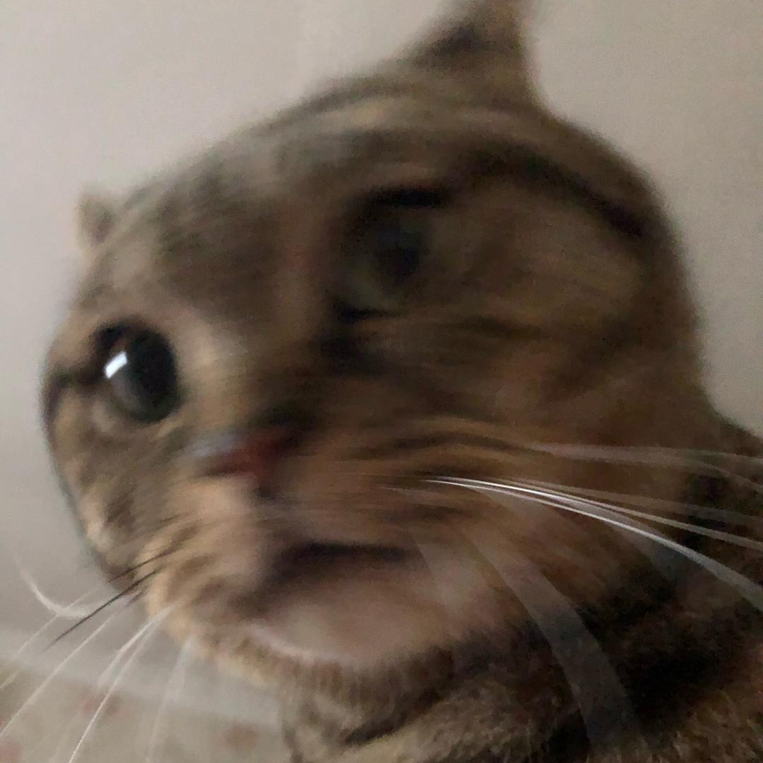 就叫蛋蛋吧