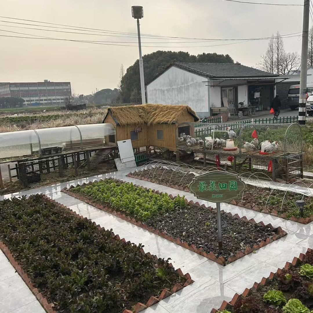 小院闲人