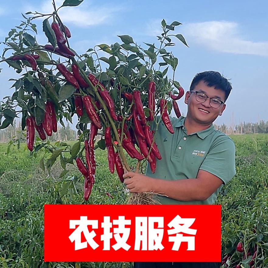 和静县春耕农资