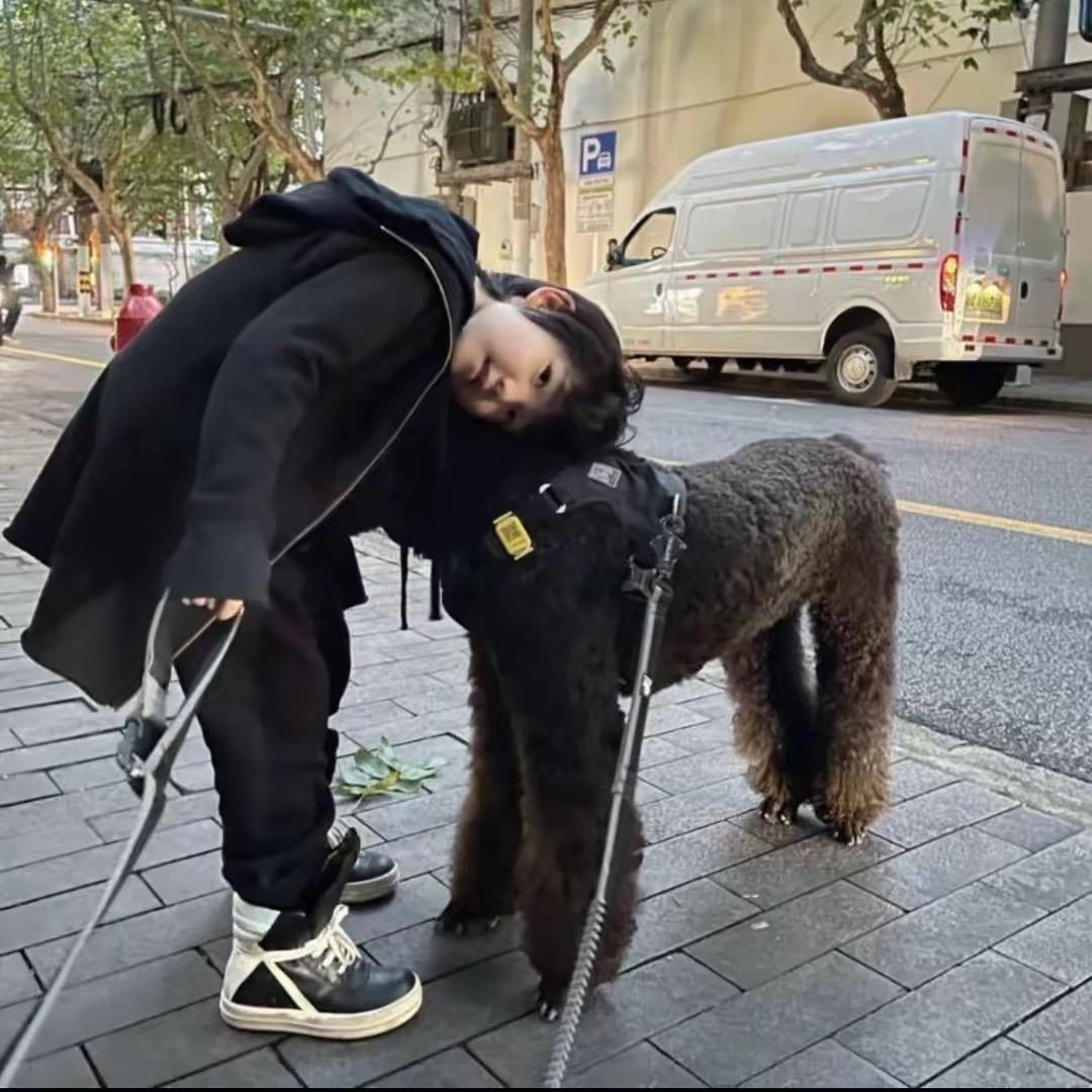 胖子狗
