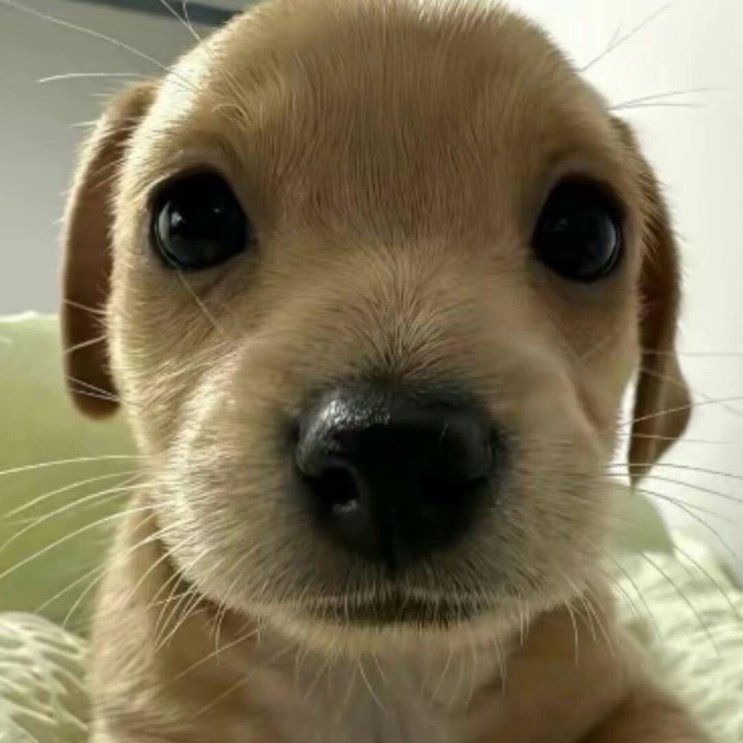 黑白灰