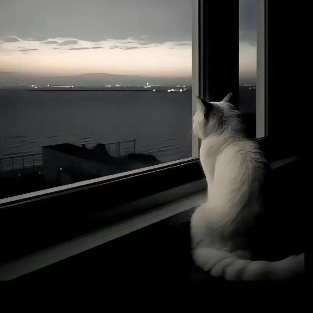 小惠子