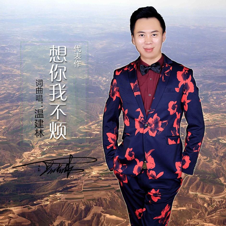 温建林-代表作-想你我不烦
