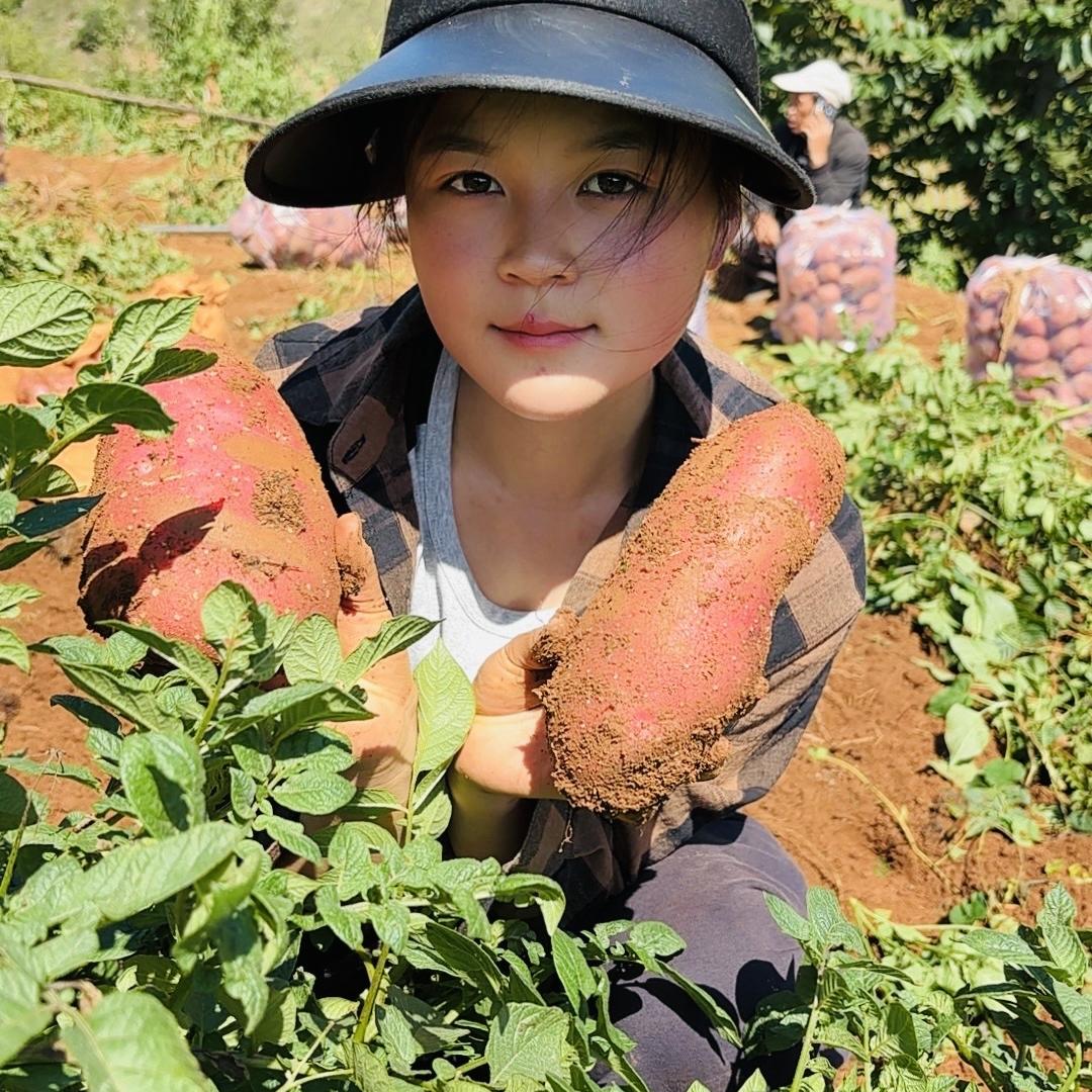 薯鲜派农产品经营部
