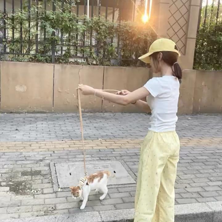 美式