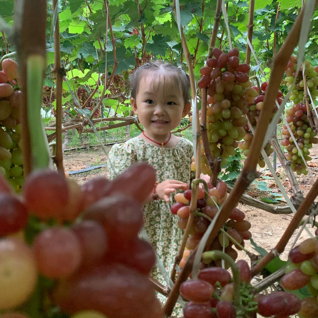 🍒车厘子🍒