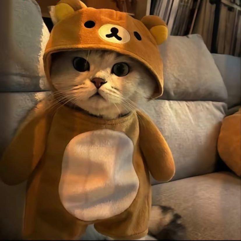 @森哥