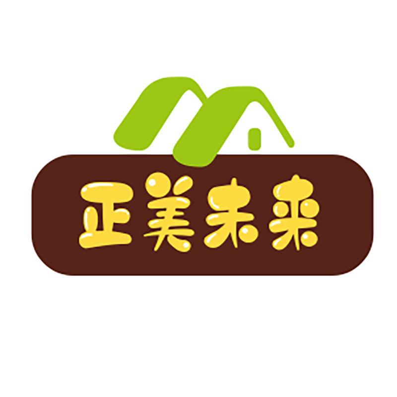 正美未来