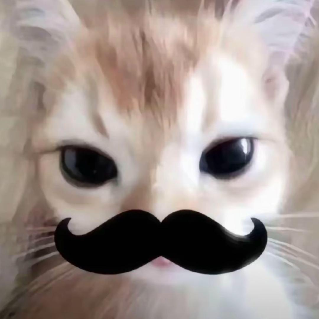 ꒦ິ^꒦ິ.
